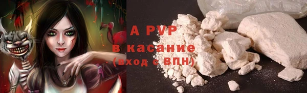 стаф Алексеевка