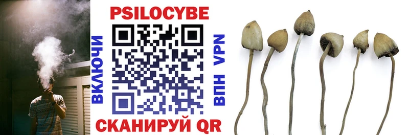купить наркоту  Струнино  Псилоцибиновые грибы прущие грибы 